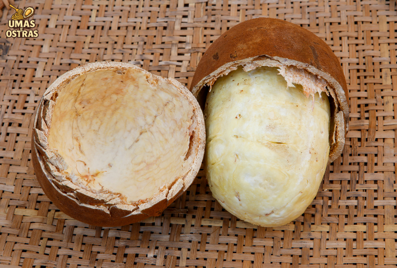 A história dos sucos naturais no Brasil