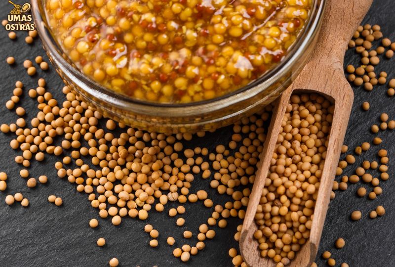 Receitas de sopas veganas
