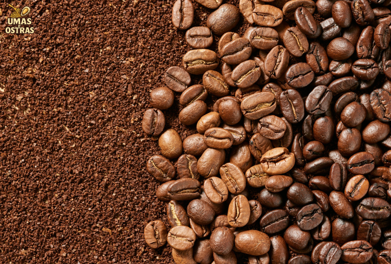 Beber café protege os rins:
