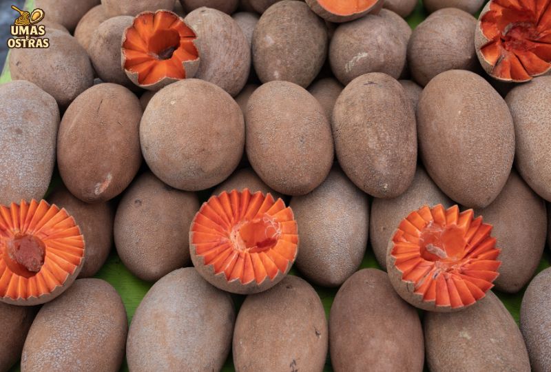 Pouteria sapota 