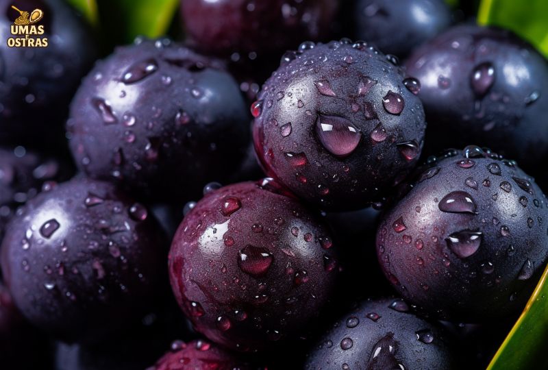 Valor nutricional do açaí