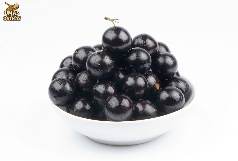 Composição nutricional da jabuticaba