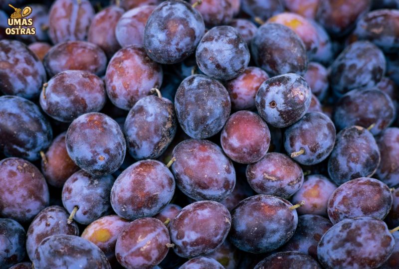 Benefícios das Frutas Roxas