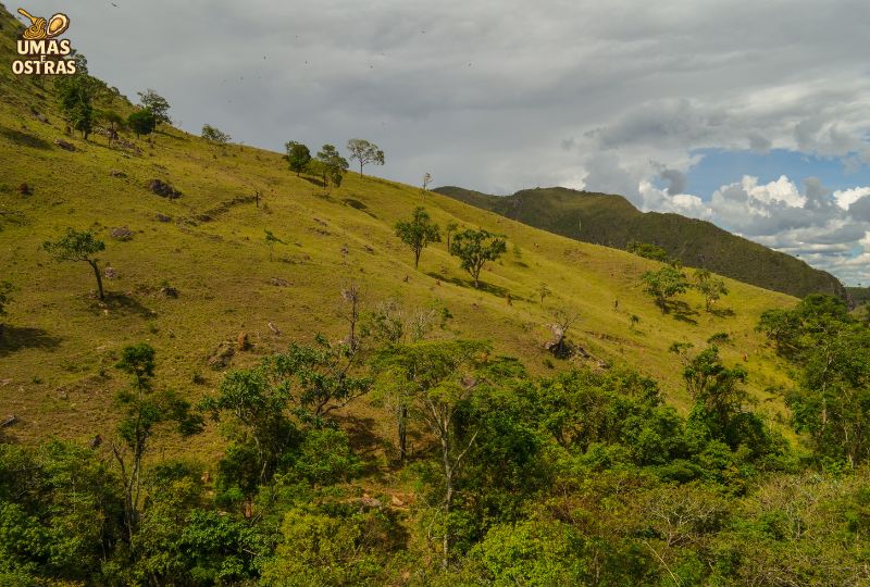 O Terroir da Serra da Canastra