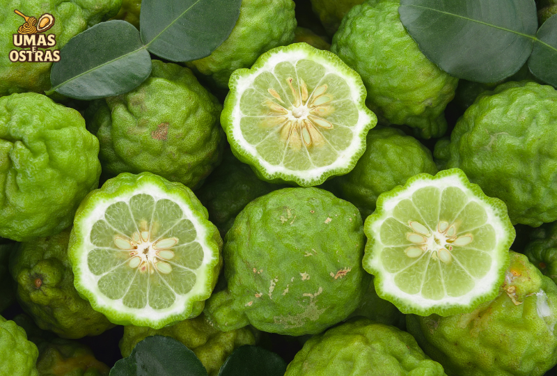 Frutas Cítricas Menos Conhecidas e Variedades Raras