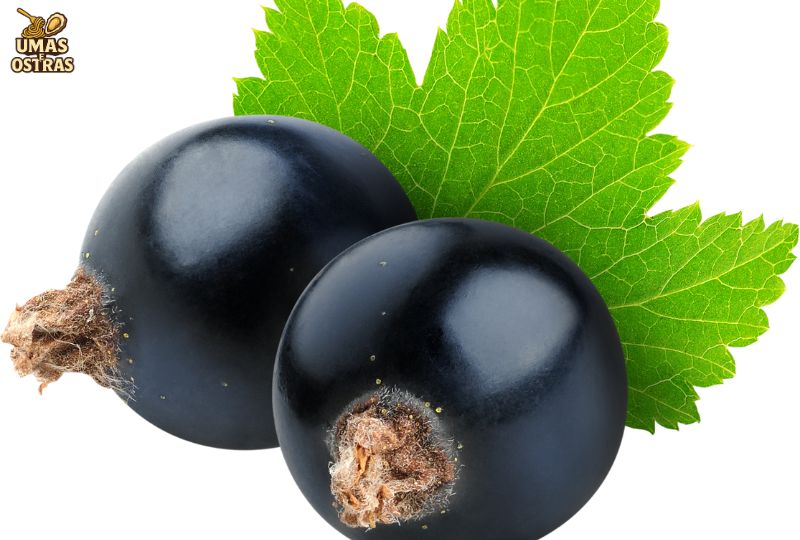 Frutas Azuis e Controle da Glicemia