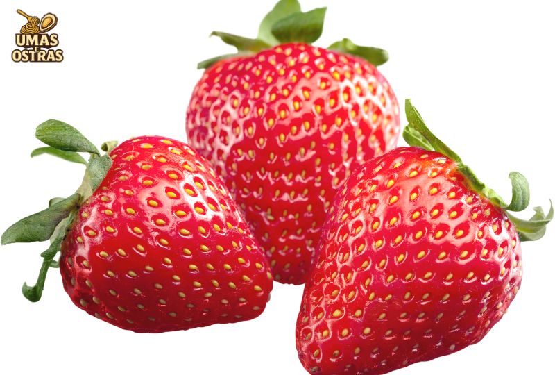 frutas bem escolhidas funcionam melhor