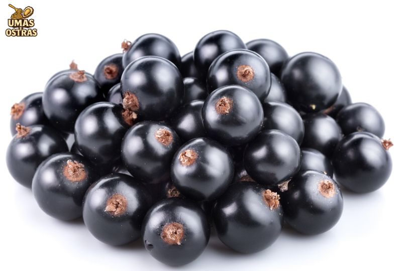 Como as Frutas Pretas Atuam no Organismo