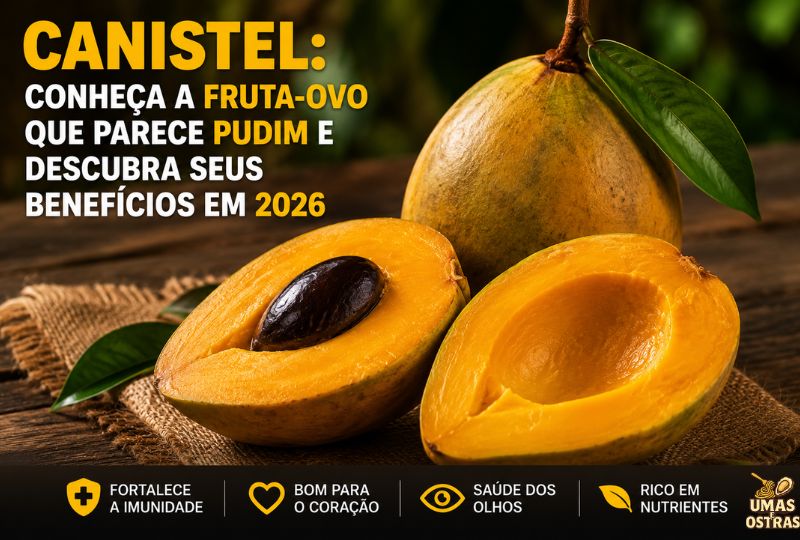 Canistel: A Fruta Sabor Pudim que Você Precisa Conhecer e Provar