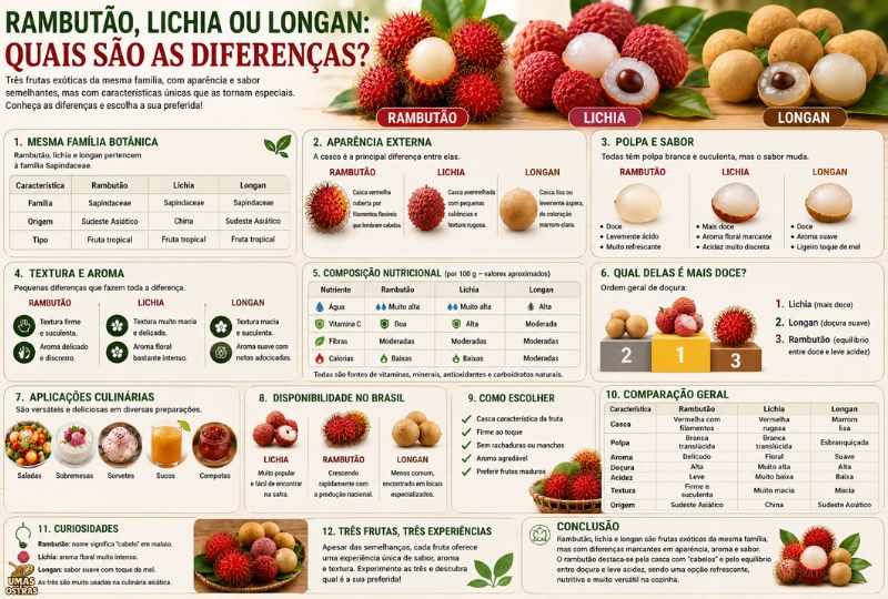 Comparação entre rambutão, lichia e longan mostrando a aparência da casca, a polpa translúcida, textura, aroma, sabor e características nutricionais das três frutas da família Sapindaceae.