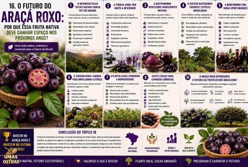 Infográfico sobre o futuro do Araçá Roxo destacando seu potencial na gastronomia, bioeconomia, agricultura sustentável, pesquisas científicas, conservação da biodiversidade e expansão do mercado de frutas nativas brasileiras.