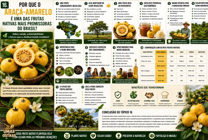 Infográfico sobre o potencial do Araçá-Amarelo, destacando seus benefícios nutricionais, importância para a biodiversidade, agricultura familiar, agroflorestas, gastronomia, conservação ambiental e oportunidades de mercado.