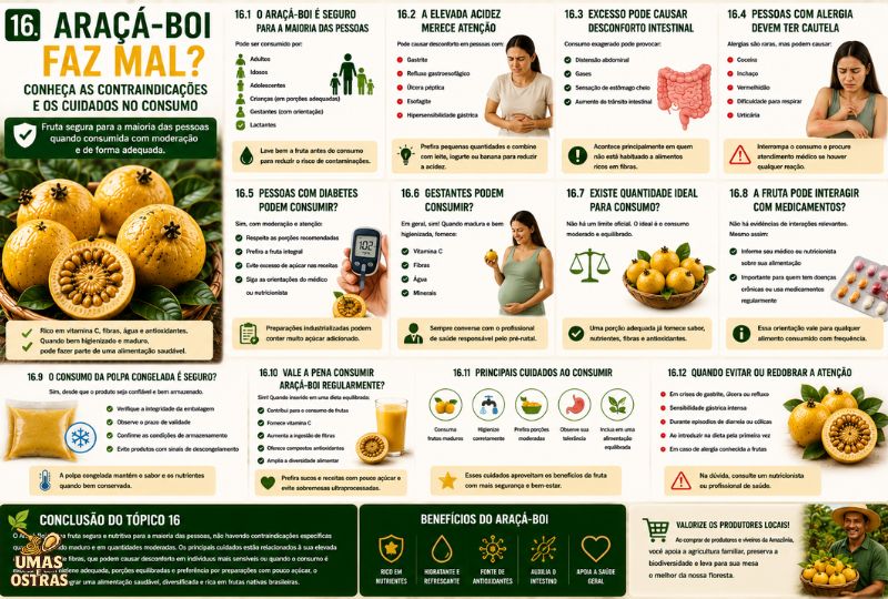 Infográfico sobre as contraindicações do Araçá-Boi, destacando segurança no consumo, acidez elevada, pessoas com gastrite e refluxo, alergias, diabetes, gestantes, polpa congelada, interações com medicamentos e recomendações para um consumo seguro.