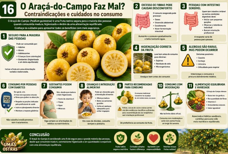 Infográfico sobre o consumo seguro do Araçá-do-Campo, contraindicações, higienização, fibras e cuidados para diferentes públicos