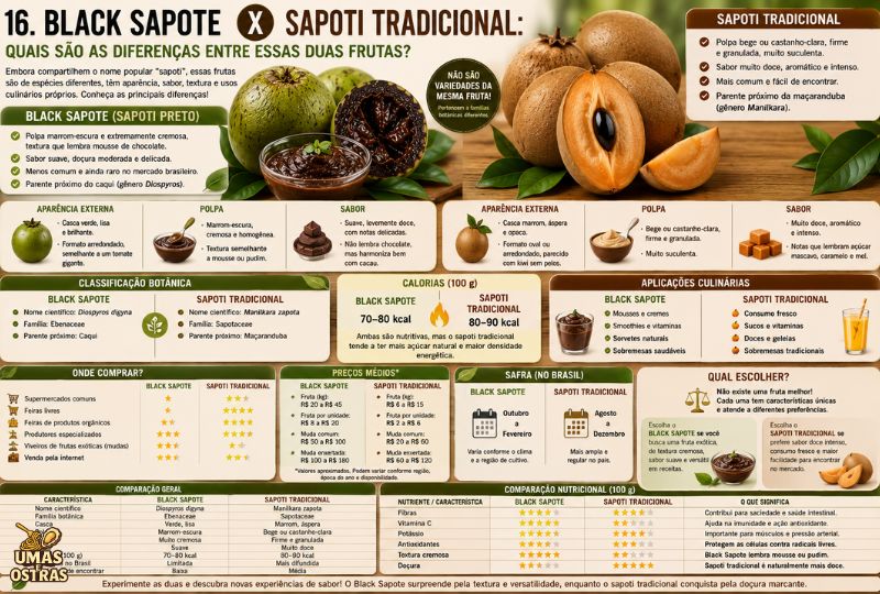Infográfico comparando o Black Sapote (Sapoti Preto) e o sapoti tradicional. A imagem mostra as duas frutas lado a lado, destacando diferenças na aparência da casca, cor da polpa, textura, sabor, classificação botânica, calorias, aplicações culinárias, disponibilidade no Brasil, safra, composição nutricional e facilidade de encontrar cada espécie. O Black Sapote aparece com polpa marrom cremosa semelhante a uma mousse, enquanto o sapoti tradicional apresenta polpa bege firme e muito doce.