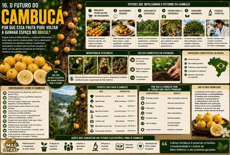 Infográfico realista sobre o futuro do Cambucá, destacando gastronomia premium, agroflorestas, turismo rural, conservação da Mata Atlântica, pesquisa científica e o potencial econômico dessa fruta nativa.