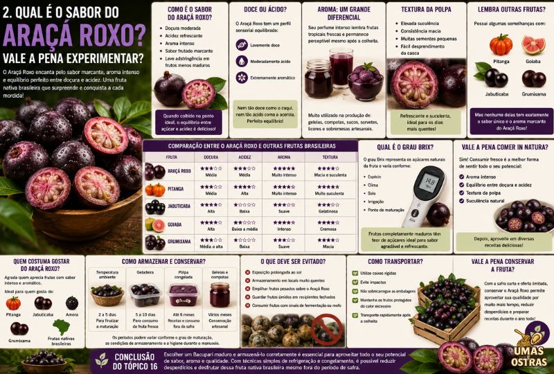Infográfico sobre o sabor do Araçá Roxo mostrando sua doçura moderada, acidez equilibrada, aroma intenso, textura suculenta, comparação com pitanga, jabuticaba, goiaba e grumixama, além das principais características sensoriais da fruta.