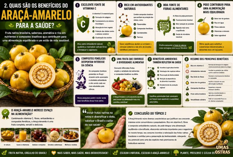Infográfico sobre os benefícios do Araçá-Amarelo destacando vitamina C, antioxidantes naturais, fibras alimentares, compostos fenólicos, valor nutricional, benefícios ambientais e formas de incluir essa fruta nativa brasileira na alimentação.