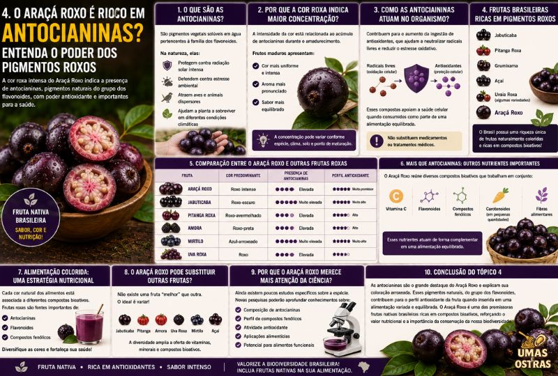 Infográfico sobre as antocianinas do Araçá Roxo mostrando sua ação antioxidante, comparação com jabuticaba, pitanga roxa, amora, mirtilo e uva roxa, além dos principais compostos bioativos presentes na fruta.