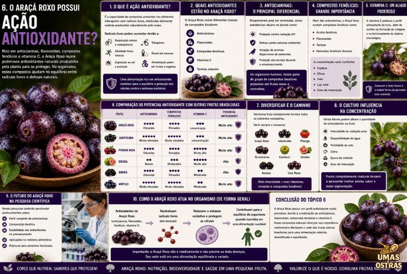Infográfico sobre a ação antioxidante do Araçá Roxo destacando antocianinas, flavonoides, compostos fenólicos, vitamina C, comparação com outras frutas brasileiras e os principais benefícios dos antioxidantes naturais.