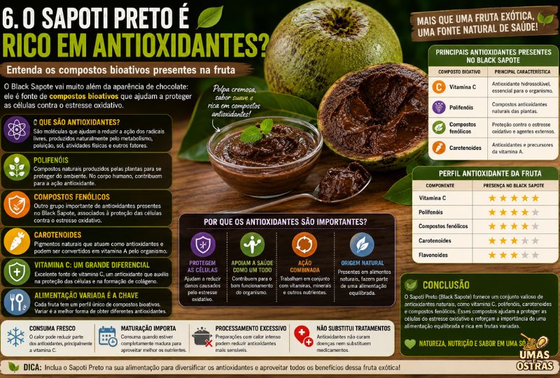 Infográfico do Sapoti Preto (Black Sapote) destacando seus principais antioxidantes naturais, incluindo vitamina C, polifenóis, compostos fenólicos, carotenoides e flavonoides. A imagem mostra a fruta aberta com polpa marrom cremosa semelhante a um pudim de chocolate, acompanhada de tabelas explicativas sobre compostos bioativos, proteção antioxidante e benefícios nutricionais para uma alimentação equilibrada.