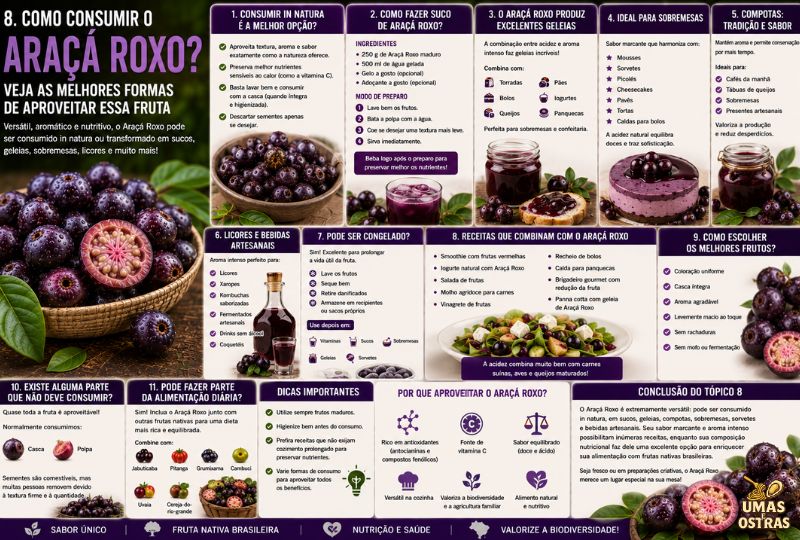 Infográfico sobre como consumir o Araçá Roxo mostrando opções como consumo in natura, sucos, geleias, compotas, sobremesas, bebidas artesanais, congelamento, receitas e dicas para escolher frutos maduros.