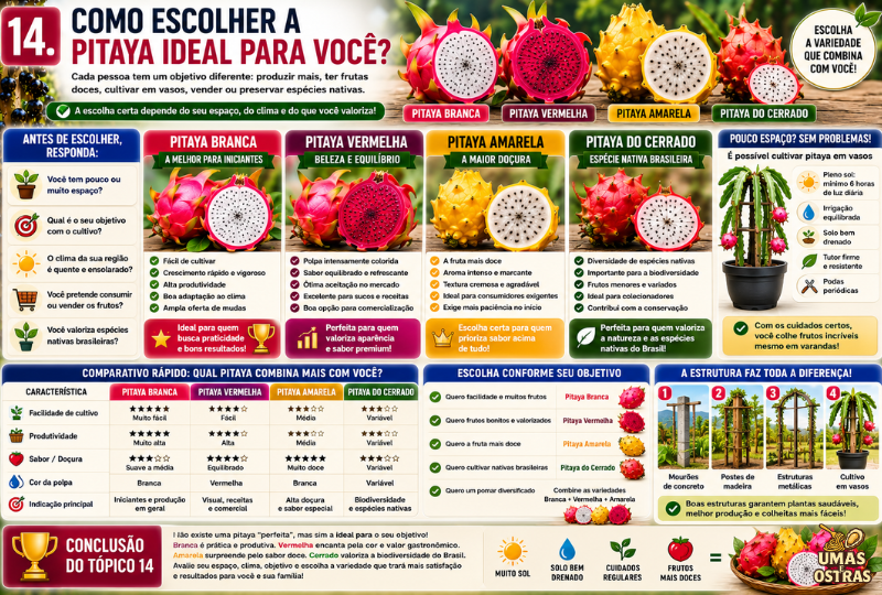 Infográfico comparando as variedades de Pitaya Branca, Vermelha, Amarela e Pitaya do Cerrado, indicando qual é a mais adequada para iniciantes, produção comercial, frutos mais doces, cultivo em vasos, biodiversidade e diferentes objetivos de cultivo.