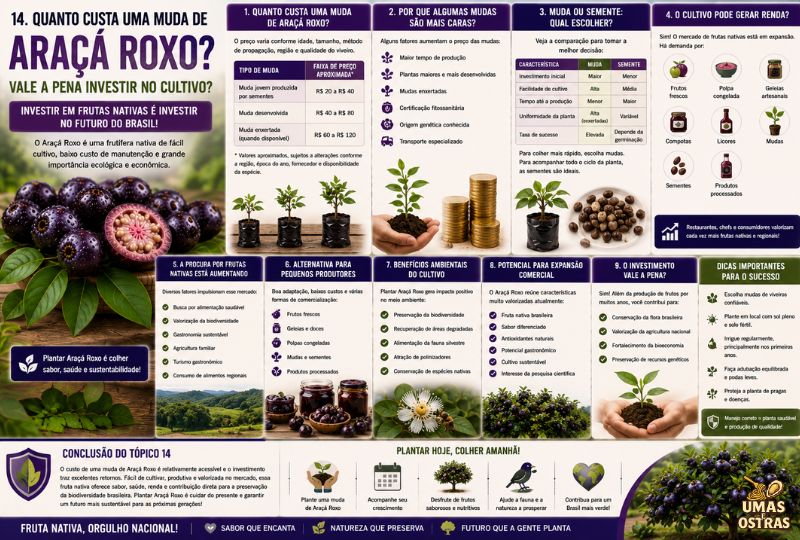 Infográfico sobre o preço das mudas de Araçá Roxo, comparando mudas, sementes e mudas enxertadas, custos médios, potencial de geração de renda, benefícios ambientais e vantagens do cultivo dessa fruta nativa brasileira.