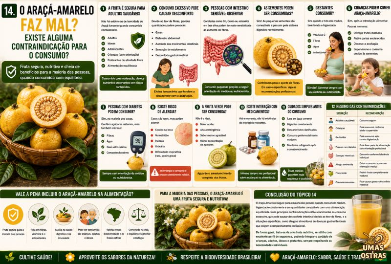 Infográfico sobre as contraindicações do Araçá-Amarelo, mostrando quem pode consumir a fruta, possíveis desconfortos do consumo excessivo, cuidados para gestantes, crianças, pessoas com diabetes, saúde intestinal, alergias e orientações para um consumo seguro.