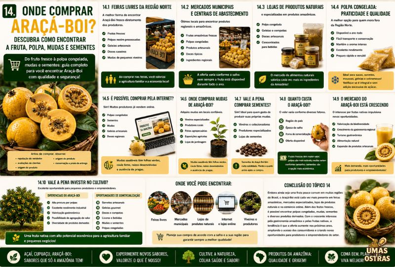 Infográfico sobre onde comprar Araçá-Boi, apresentando feiras da Região Norte, mercados municipais, lojas de produtos naturais, polpa congelada, compras pela internet, viveiros, mudas, sementes e oportunidades de mercado para essa fruta amazônica.