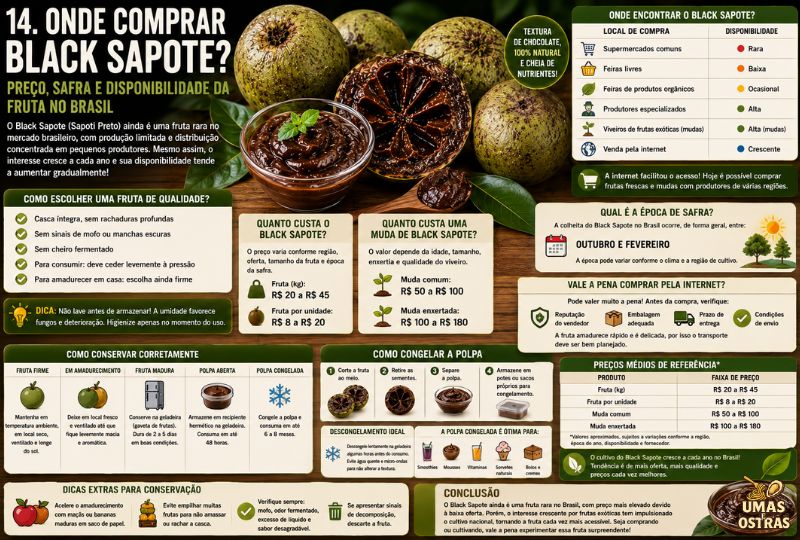 Infográfico sobre onde comprar o Black Sapote (Sapoti Preto) no Brasil, apresentando a fruta aberta com polpa marrom cremosa e informações sobre preço por quilo, preço de mudas, época de safra, disponibilidade em produtores especializados, viveiros, feiras e lojas online. A imagem também mostra dicas para escolher frutos de qualidade, armazenar corretamente e conservar a polpa, além de tabelas com valores médios e orientações de compra.