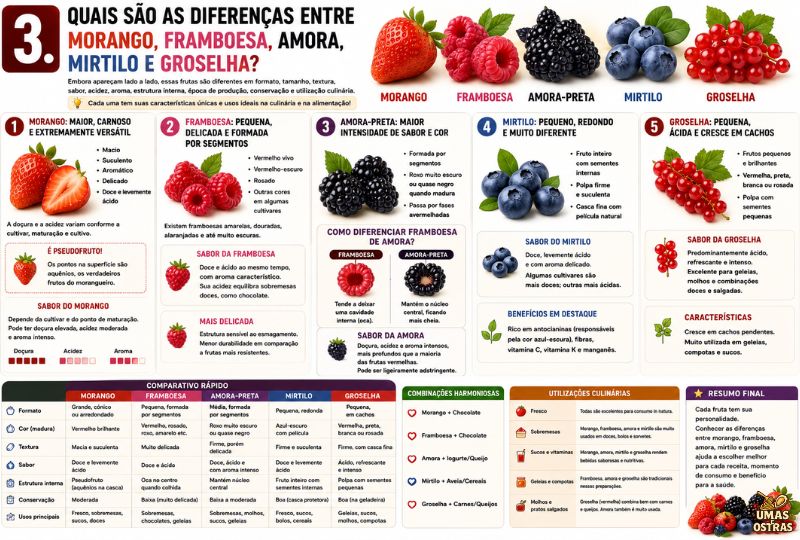Morango, Framboesa, Amora-Preta, Mirtilo e Groselha: Diferenças de Sabor, Textura, Cor, Acidez e Usos