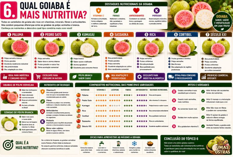 nfográfico comparando os nutrientes das principais variedades de goiaba, destacando vitamina C, licopeno, fibras e antioxidantes.