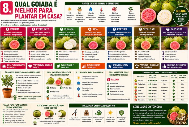 nfográfico comparando as melhores variedades de goiaba para cultivo doméstico, incluindo Paluma, Pedro Sato, Kumagai, Rica, Cortibel, Século XXI e Sassaoka.