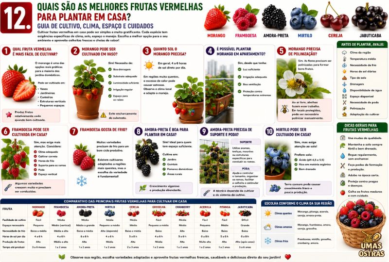 Morango, Framboesa, Amora-Preta, Mirtilo, Acerola, Pitanga e Jabuticaba: Guia para Cultivar em Casa